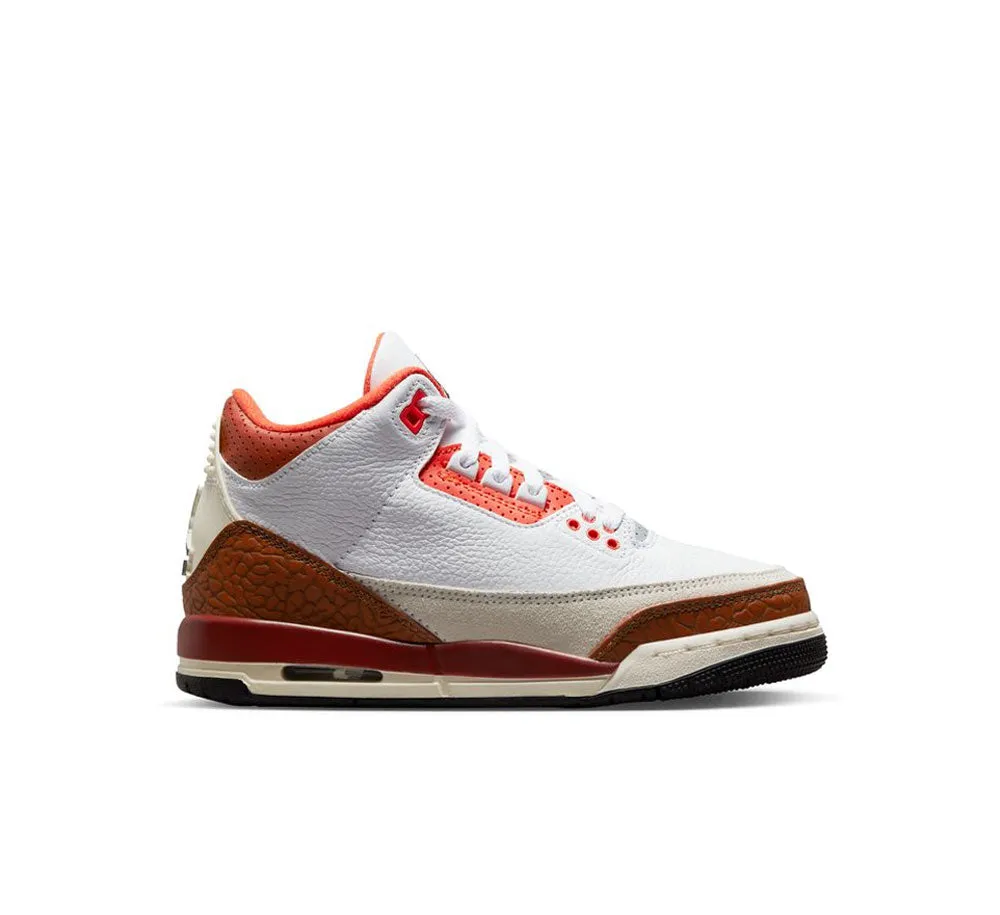 AIR JORDAN 3 RETRO SE (GS)