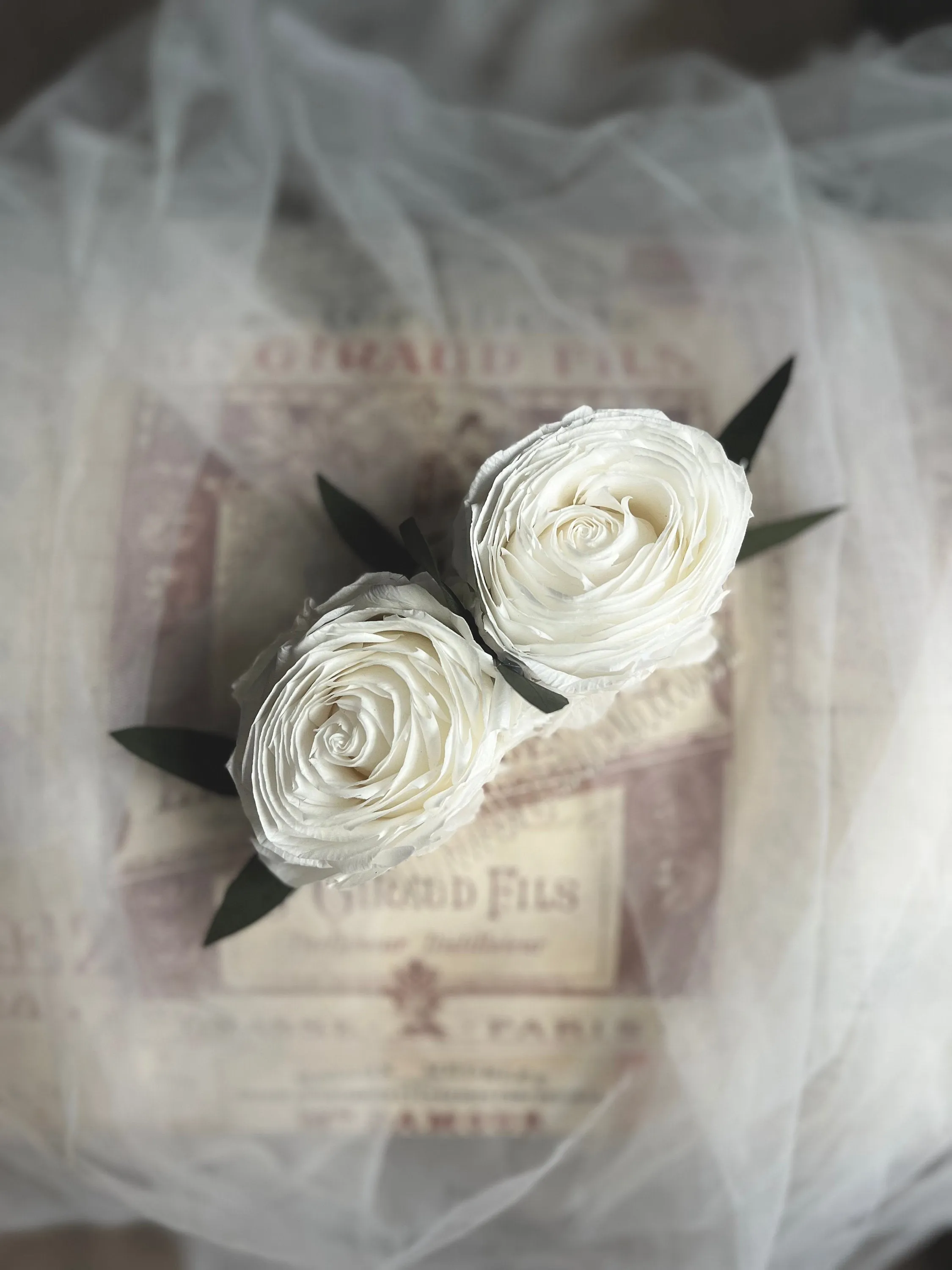 Bridal White and Green Headpiece, White Rose Floral Hair Comb for Brides, Romantic Bride Statement Large Rose Headdress