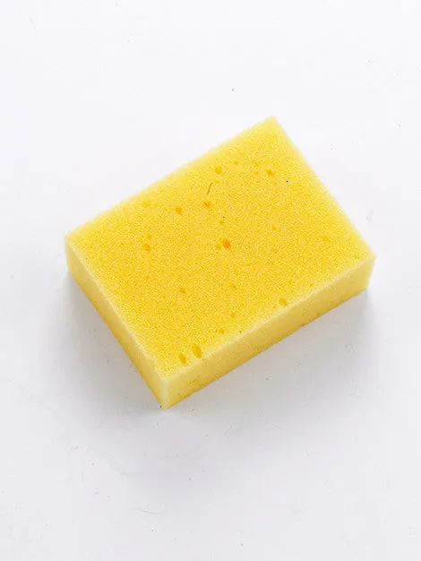 Large Sponge